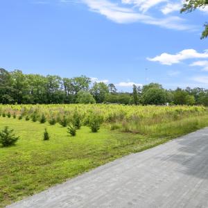 Photo #2 of TBD Dukes Rd., Conway, SC 7.7 acres