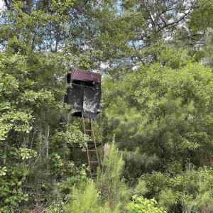 Photo #9 of TBD Easler Hwy, Greeleyville, SC 64.0 acres