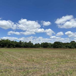 Photo #5 of TBD Easler Hwy, Greeleyville, SC 64.0 acres