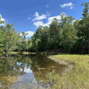 Photo #12 of TBD Easler Hwy, Greeleyville, SC 64.0 acres