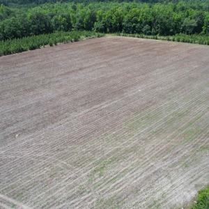 Photo #22 of TBD Easler Hwy, Greeleyville, SC 64.0 acres