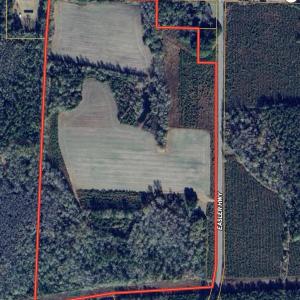 Photo #23 of TBD Easler Hwy, Greeleyville, SC 64.0 acres