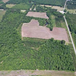 Photo #16 of TBD Easler Hwy, Greeleyville, SC 64.0 acres