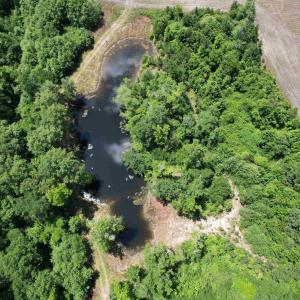 Photo #15 of TBD Easler Hwy, Greeleyville, SC 64.0 acres