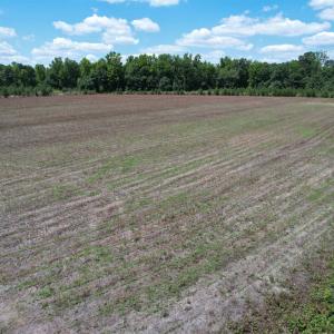 Photo #21 of TBD Easler Hwy, Greeleyville, SC 64.0 acres