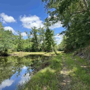 Photo #1 of TBD Easler Hwy, Greeleyville, SC 64.0 acres