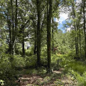 Photo #11 of TBD Easler Hwy, Greeleyville, SC 64.0 acres