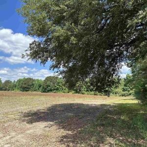 Photo #3 of TBD Easler Hwy, Greeleyville, SC 64.0 acres