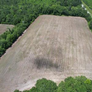 Photo #18 of TBD Easler Hwy, Greeleyville, SC 64.0 acres