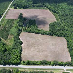 Photo #17 of TBD Easler Hwy, Greeleyville, SC 64.0 acres