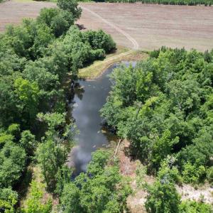 Photo #14 of TBD Easler Hwy, Greeleyville, SC 64.0 acres