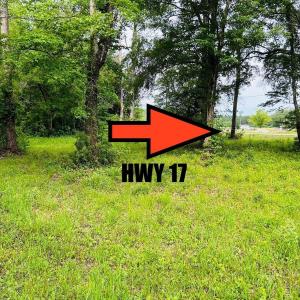 Photo #12 of 9985 Highway 17 North, McClellanville, SC 4.7 acres