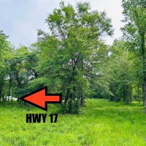 Photo #17 of 9985 Highway 17 North, McClellanville, SC 4.7 acres