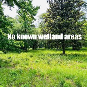 Photo #3 of 9985 Highway 17 North, McClellanville, SC 4.7 acres