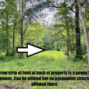Photo #8 of 9985 Highway 17 North, McClellanville, SC 4.7 acres