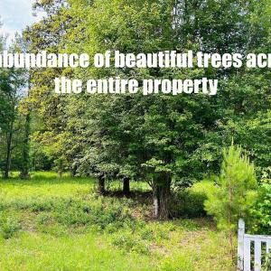 Photo #4 of 9985 Highway 17 North, McClellanville, SC 4.7 acres