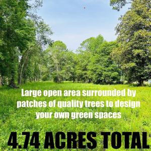 Photo #6 of 9985 Highway 17 North, McClellanville, SC 4.7 acres