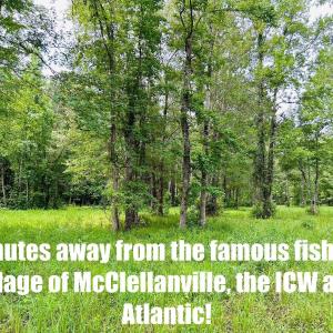 Photo #9 of 9985 Highway 17 North, McClellanville, SC 4.7 acres