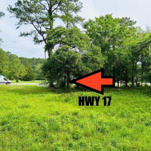 Photo #19 of 9985 Highway 17 North, McClellanville, SC 4.7 acres