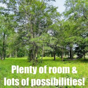 Photo #10 of 9985 Highway 17 North, McClellanville, SC 4.7 acres