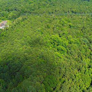 Photo #5 of TBD Scipio Ln., Myrtle Beach, SC 11.7 acres