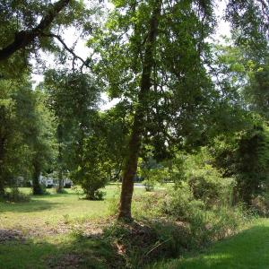 Photo #4 of 1824 Sumter St., Georgetown, SC 0.3 acres