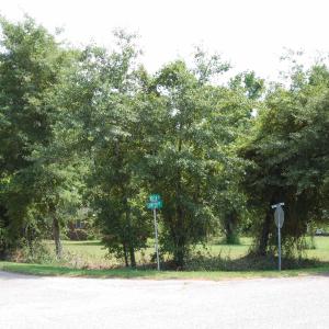 Photo #1 of 1824 Sumter St., Georgetown, SC 0.3 acres