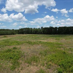 Photo #6 of TBD Martin Luther King Jr. Hwy., Kingstree, SC 17.0 acres