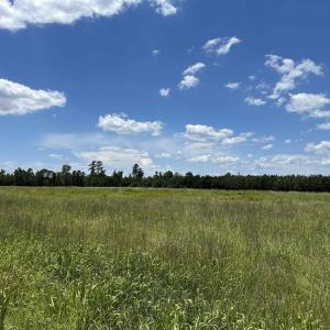 Photo #3 of TBD Martin Luther King Jr. Hwy., Kingstree, SC 17.0 acres