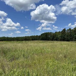 Photo #2 of TBD Martin Luther King Jr. Hwy., Kingstree, SC 17.0 acres