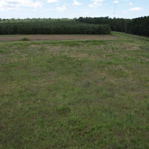 Photo #10 of TBD Martin Luther King Jr. Hwy., Kingstree, SC 17.0 acres