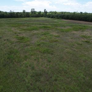 Photo #11 of TBD Martin Luther King Jr. Hwy., Kingstree, SC 17.0 acres