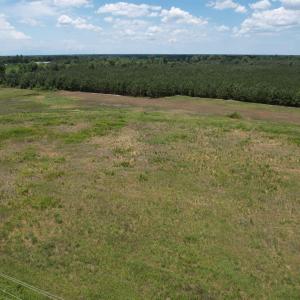 Photo #5 of TBD Martin Luther King Jr. Hwy., Kingstree, SC 17.0 acres