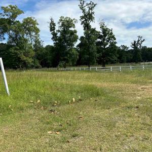 View of yard with a rural view
