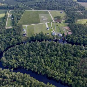Photo #12 of 11 Gulley Ln., Salters, SC 2.0 acres