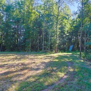 View of yard with a forest view