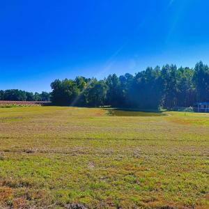 View of grassy yard featuring a view of rural / pa