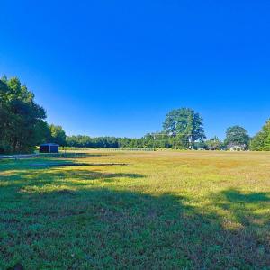 View of green lawn featuring a wooded view and a s