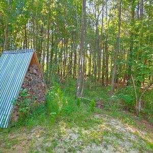 View of yard with a wooded view