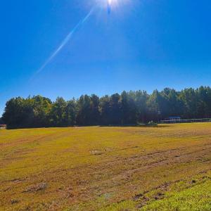 View of yard with a rural view