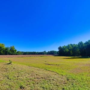 View of yard with a view of rural / pastoral area