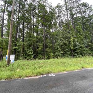 Photo #10 of 4754 Highway 90, Conway, SC 4.6 acres