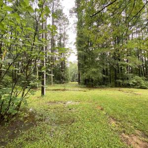 Photo #5 of 4754 Highway 90, Conway, SC 4.6 acres