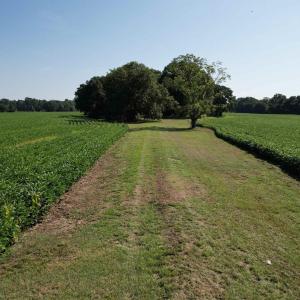 Photo #10 of TBD Sumter Hwy., Kingstree, SC 33.5 acres