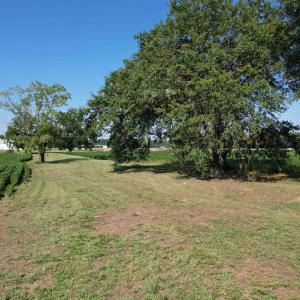 Photo #8 of TBD Sumter Hwy., Kingstree, SC 33.5 acres