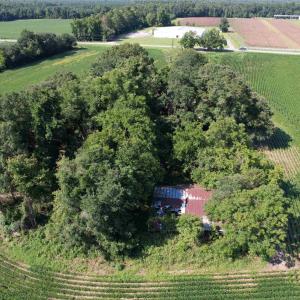 Photo #11 of TBD Sumter Hwy., Kingstree, SC 33.5 acres