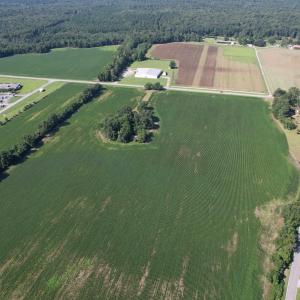 Photo #12 of TBD Sumter Hwy., Kingstree, SC 33.5 acres