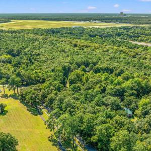 Bird's eye view of a forest