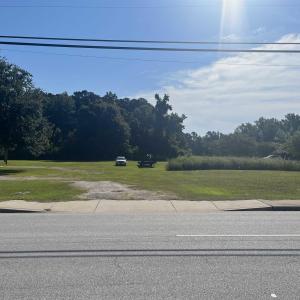 Photo #1 of TBD Georgetown Hwy., Johnsonville, SC 0.7 acres