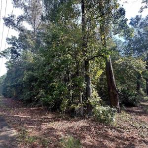 Photo #3 of TBD Main St., Nichols, SC 0.6 acres